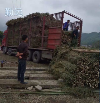 9.6米回程车运费多少