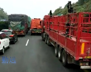 兴宁到各地回程车 