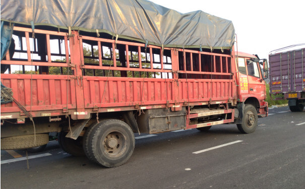 郫都物流公司运输车